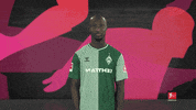 Oh No Facepalm GIF by Bundesliga