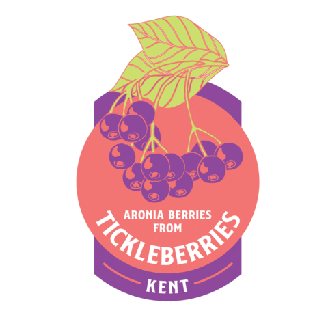 Drinks Berries Sticker by Square Root Soda