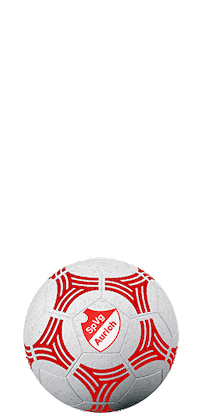 Ball Ostfriesland Sticker by SpVg Aurich