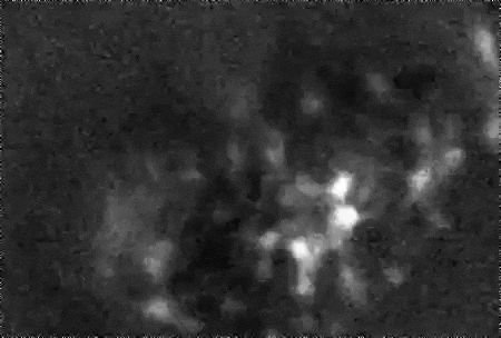 ariley0330 giphyupload GIF