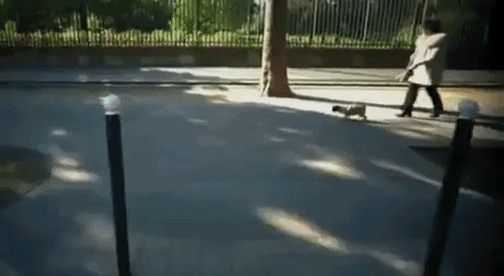 enhance GIF