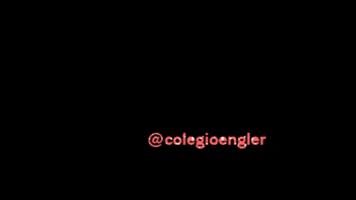 colegioengler post newpost colegio seta GIF