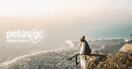 Petasgr  GIF