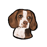 Dog Allen Sticker by HeARTs Speak