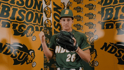 Baseball Bison GIF by NDSU Athletics