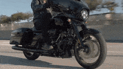 Brand Adventure GIF by Harley-Davidson