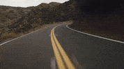 Ride GIF by Harley-Davidson