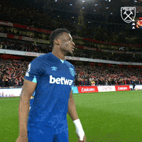Premier League Football GIF by West Ham United