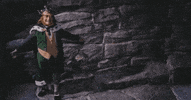 st patricks day leprechaun GIF