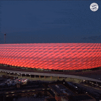 Champions League Football GIF by FC Bayern Munich