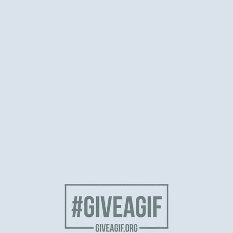 givingtuesday GIF by Give A Gif