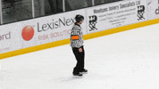 Ice Hockey Goal GIF by Cardiff Fire