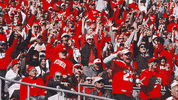 College Football GIF by Wisconsin Badgers