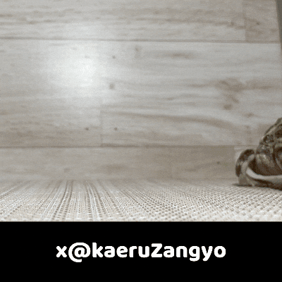 Frog GIF