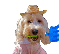 whenninametellie dog puppy gardening dress up Sticker