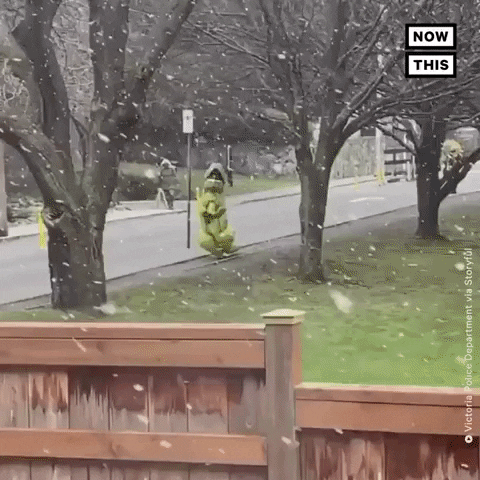 Canadian Snow GIF by NowThis
