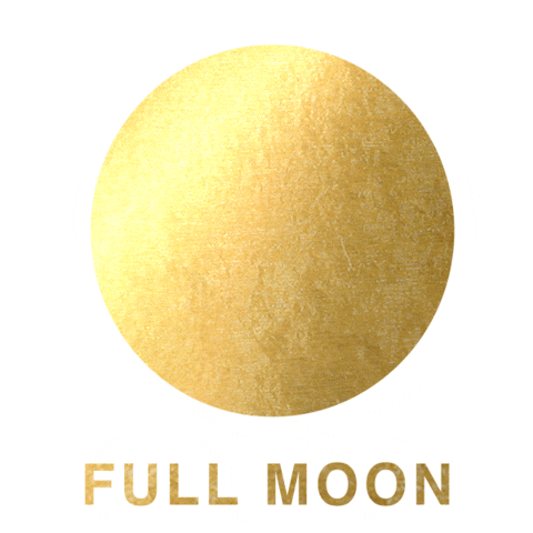 Full Moon Love Sticker by Danielle LaPorte