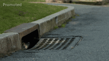 Sponsored gif. A hand sticks out from a street gutter and holds up a Mountain Dew Baja Blast soda bottle. The bottom of the gutter has a metal plate with round circles and the teal-colored soda looks especially refreshing as it pops out from under the curb.