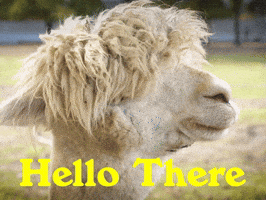 Its Me Hello GIF by Sealed With A GIF