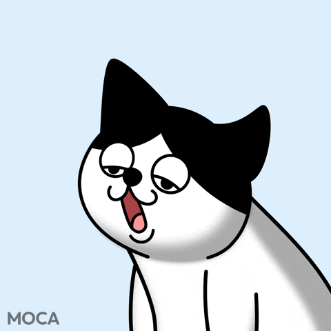 Tired Cat GIF by Moca Network