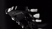 Rock Concert GIF by Ghost Hounds