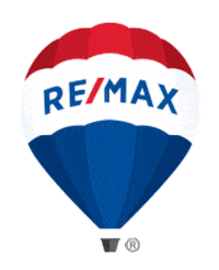 mitulkadakia mkpro mitul kadakia remax balloon mkpro mkproca remax balloon Sticker