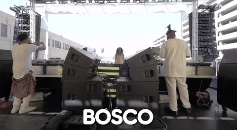 fools gold stage GIF by Fool's Gold Records