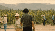 mexico kiki GIF by NETFLIX