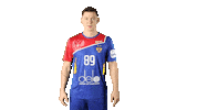 National Team Sport Sticker by Rushandball