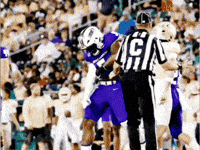 Football Celebrate GIF by JMUDukes