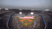 La Dodgers Sport GIF by MLB