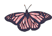 Fly Butterfly Sticker
