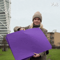 Verkiezingen Stemvolt GIF by VoltNL