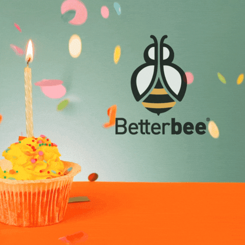 quinnanne giphyupload GIF