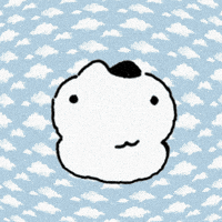 Cat 고양이 GIF