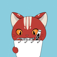Red Cat GIF by Kitaro World