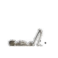 French Girl Skeleton Sticker by Vudora Marie