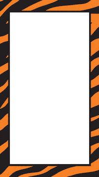 Orange And Black Sticker by Princeton University