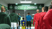 geoffroy-guichard asse GIF by AS Saint-Etienne