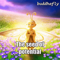 Flower GIF by BuddhaFlyJourney
