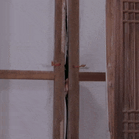 Appear K Pop GIF