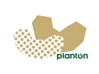 Nut Cashew Sticker by planton
