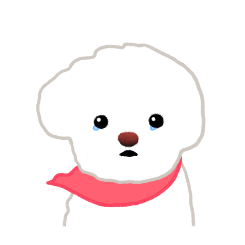 Sad Bichon Frise Sticker by pikaole