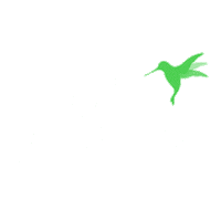 Food Compra Sticker by lolamarket