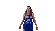 Spreafico Sticker by Italbasket