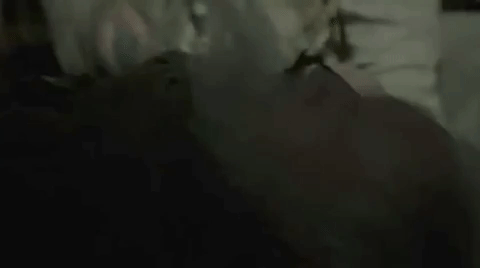 giphygifgrabber GIF