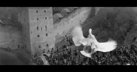pinguin500 giphygifmaker GIF
