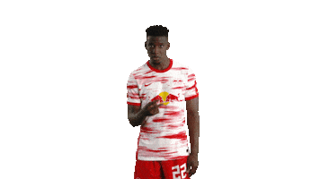 Assist I See You Sticker by RB Leipzig