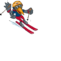 Ski Didi Sticker by Tiroler Zugspitzbahn | Ehrwalder Almbahn | Zugspitz-Resort