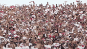 sao-paulinos GIF by São Paulo FC